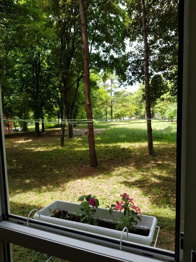 Apartman Park, Tc Stadion Vozdovac Appartement Belgrado Buitenkant foto
